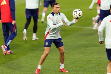 Martin Zubimendi
